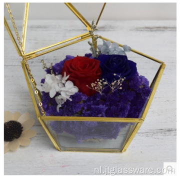 Woondecoratie Geometrisch Glas Terrarium Ecologisch